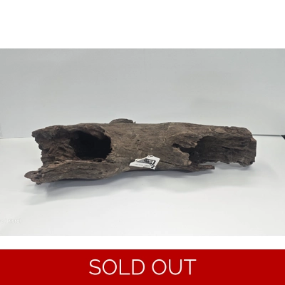 Hollow driftwood A12. 52cm by 13cm L X H